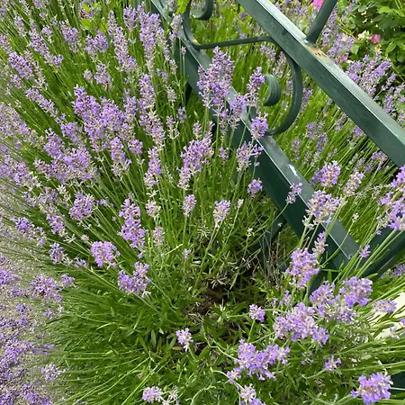 شقة Stadtvilla Jelena Mengen