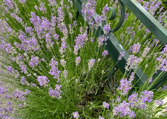 아파트 Stadtvilla Jelena 멘겐